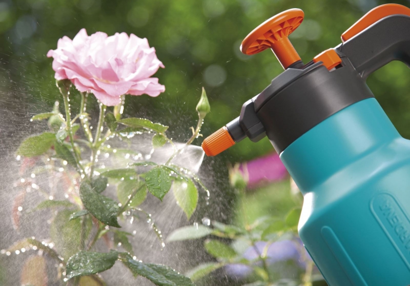 Cách Tưới Nước Cho Cây Cảnh Cho Cây Luôn Xanh Tốt