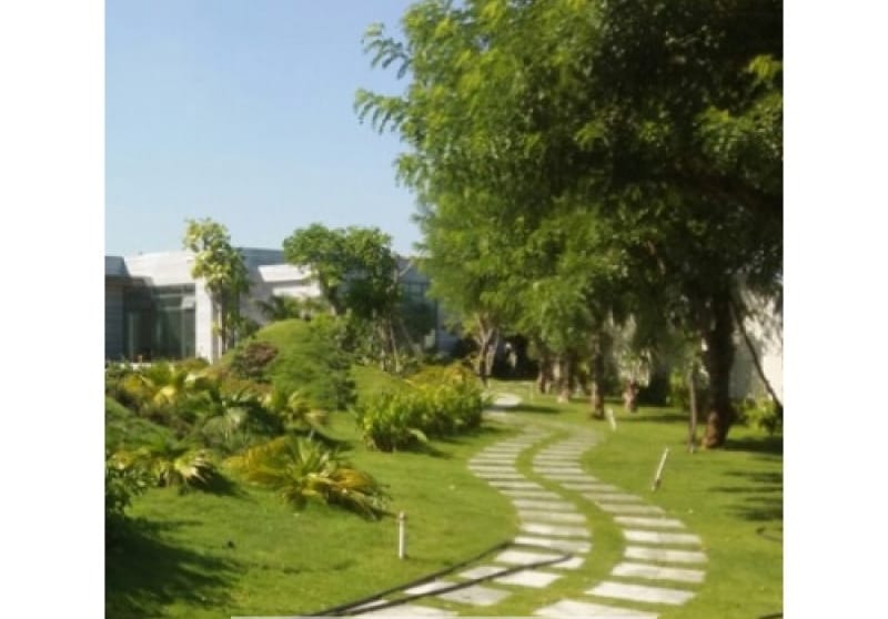 Thi công cỏ nhung nhật Đà Nẵng