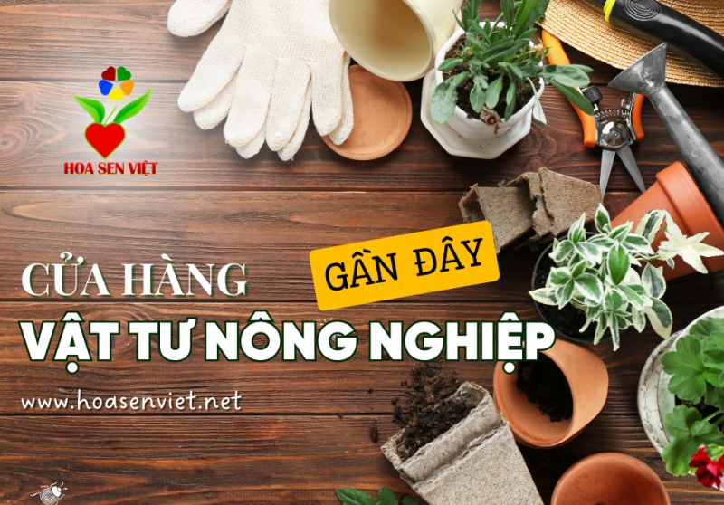 Cửa Hàng Vật Tư Nông Nghiệp Đà Nẵng Gần Đây
