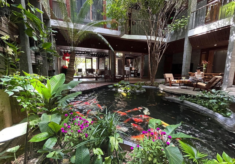 Dịch vụ thi công hòn non bộ, hồ cá koi tại Đà Nẵng uy tín, chuyên nghiệp. Hoa Sen Việt – thiết kế tiểu cảnh sân vườn, tạo hồ cá phong thủy đẹp mắt, bền vững theo thời gian.