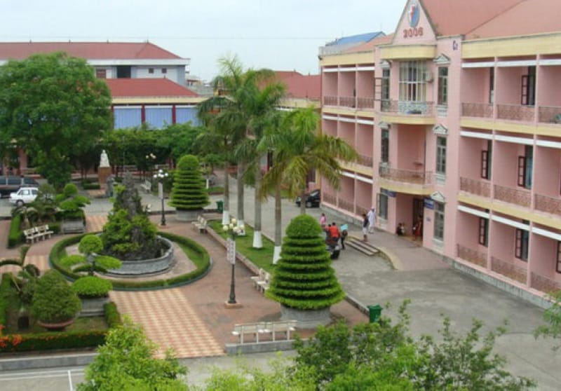 CHĂM SÓC CÂY CANH, CÂY XANH ĐÀ NẴNG