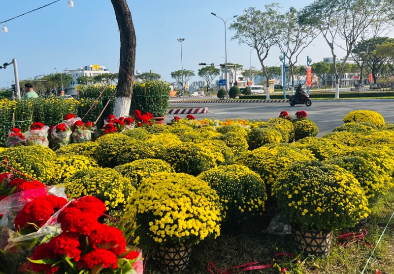 TOP 7+ Chợ Hoa Tết Đà Nẵng Nhộn Dịp Tết Ất Tỵ 2025