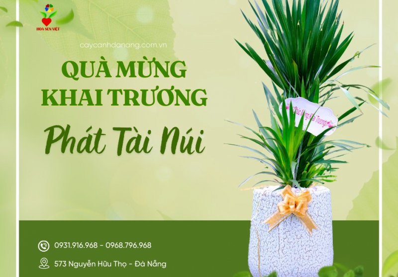 Khám phá bảng giá cây văn phòng tại Đà Nẵng mới nhất từ Hoa Sen Việt. Tư vấn cây nội thất hợp phong thủy, phù hợp thiết kế hiện đại. Giao tận nơi, hỗ trợ trồng và bảo hành.