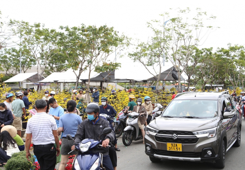 Chợ Hoa Tết Đà Nẵng Ất Tỵ 2025 Hứa Hẹn Nhộn Nhịp Trở Lại