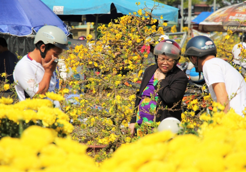 TOP 7+ Chợ Hoa Sỉ Đà Nẵng Đa Dạng Loại Hoa, Giá Tốt Nhất