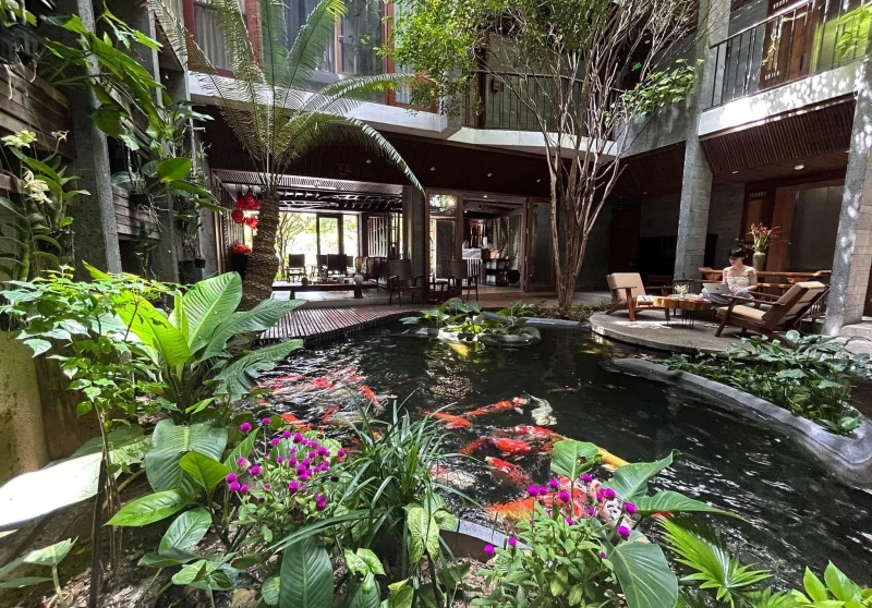 Thi công hồ cá koi Đà Nẵng