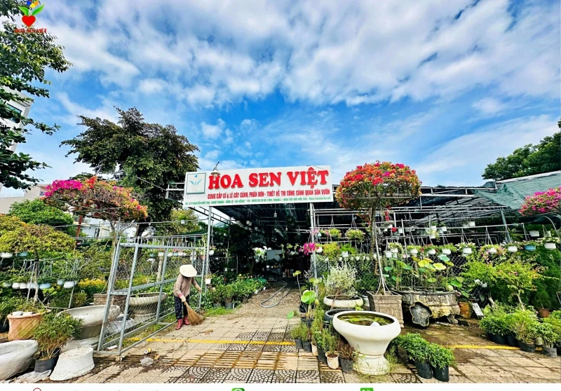 Dịch vụ thi công hòn non bộ tại Đà Nẵng bởi Hoa Sen Việt mang đến không gian sống xanh, gần gũi thiên nhiên. Thiết kế phong thủy, thi công chuyên nghiệp, hỗ trợ bảo hành lâu dài.