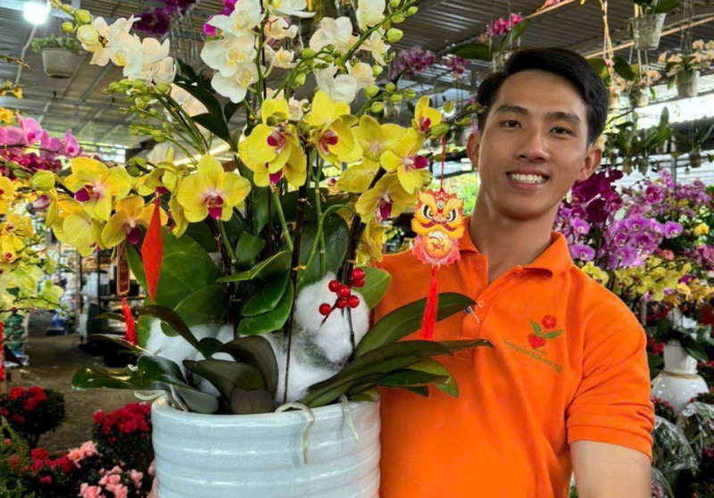 Báo giá hoa lan hồ điệp tại Đà Nẵng – Đẳng cấp quà tặng sang trọng từ Hoa Sen Việt