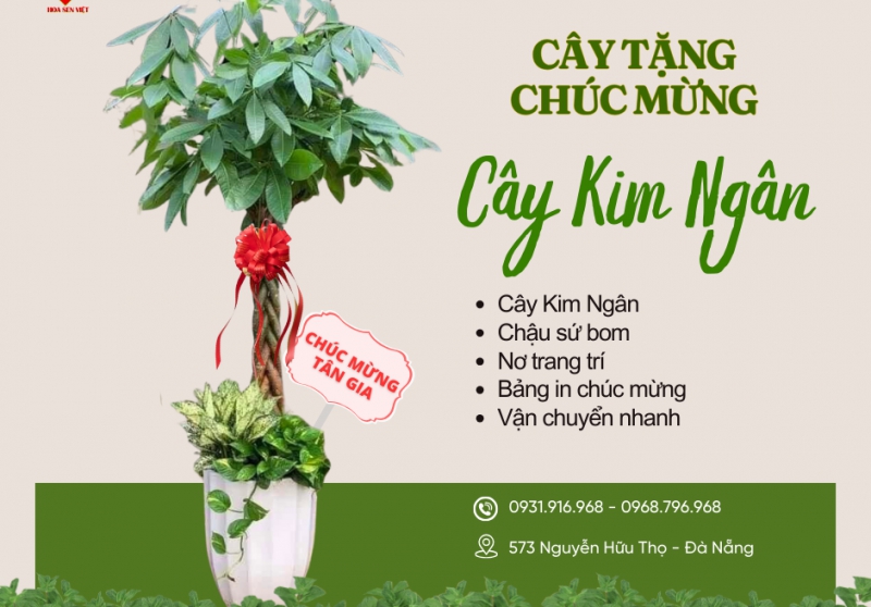 Cây Tặng Tân Gia, Nhà Mới 