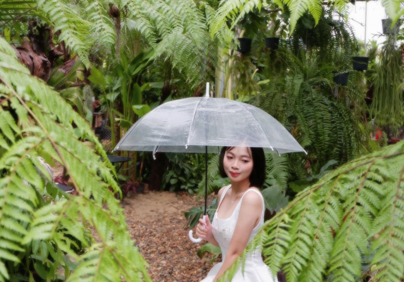 cafe nhiệt đới đà nẵng