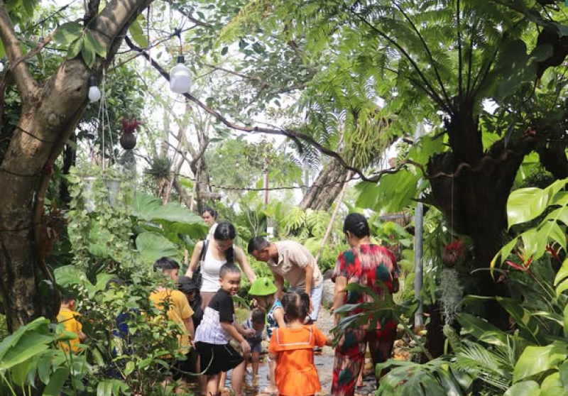 Thi công trồng cây giếng trời tại đà nẵng, thi công giếng trời đẹp