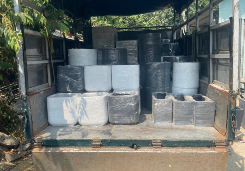 TOP 7+ Cửa Hàng Chậu Cây Đà Nẵng Giá Tốt, Chất Lượng Cao