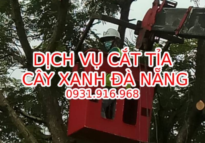 Dịch Vụ Cắt Tỉa Cây Xanh Đà Nẵng Chuyên Nghiệp, Tiết Kiệm