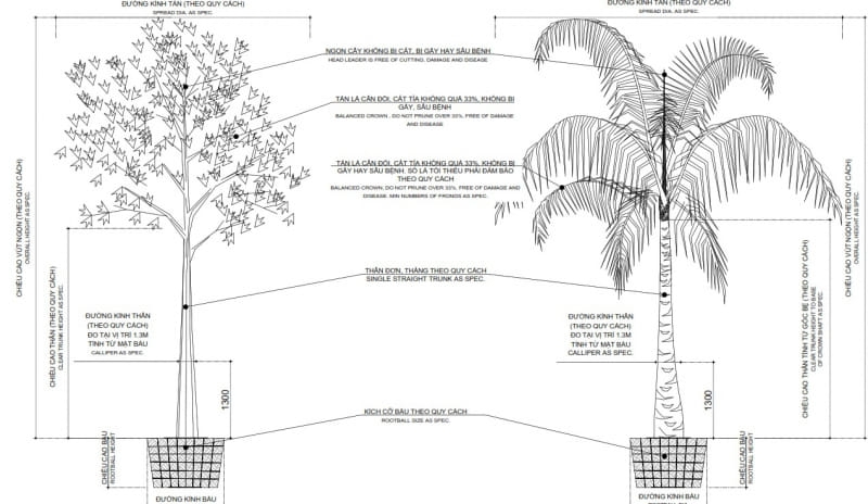 Kỹ thuật trồng cây công trình phần I : Kỹ thuật trồng cây bóng mát