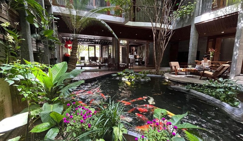 Dịch vụ thi công hòn non bộ, hồ cá koi tại Đà Nẵng uy tín, chuyên nghiệp. Hoa Sen Việt – thiết kế tiểu cảnh sân vườn, tạo hồ cá phong thủy đẹp mắt, bền vững theo thời gian.