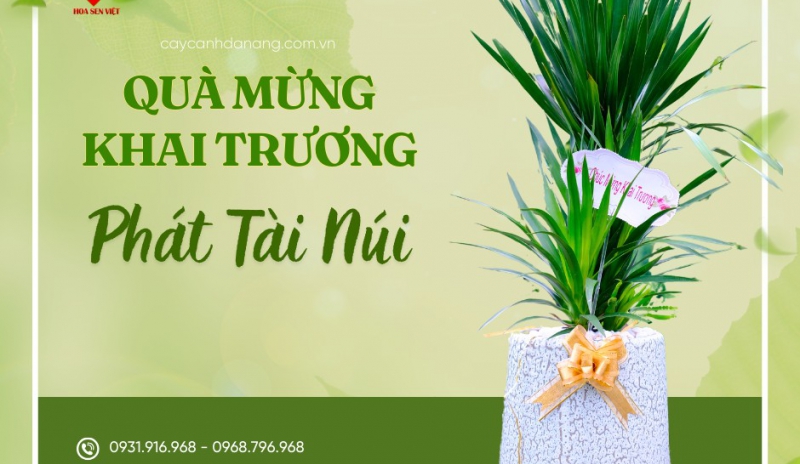 Khám phá bảng giá cây văn phòng tại Đà Nẵng mới nhất từ Hoa Sen Việt. Tư vấn cây nội thất hợp phong thủy, phù hợp thiết kế hiện đại. Giao tận nơi, hỗ trợ trồng và bảo hành.
