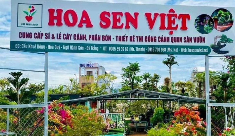 Bật Mí Điểm Mua Bán Cây Cảnh Rẻ Tại Đà Nẵng