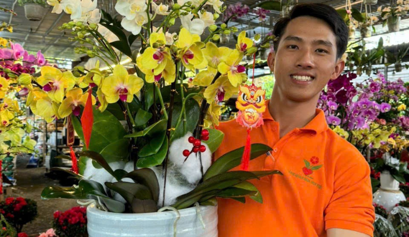 Báo giá hoa lan hồ điệp tại Đà Nẵng – Đẳng cấp quà tặng sang trọng từ Hoa Sen Việt