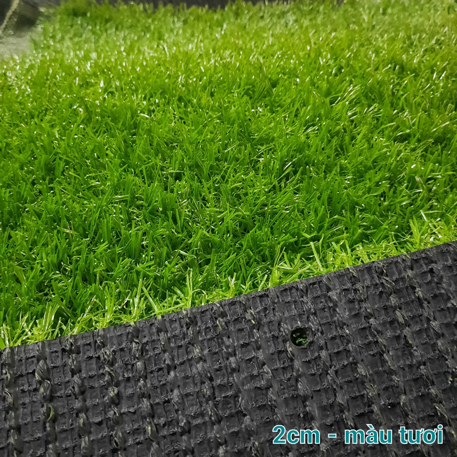 Chất lượng mặt đế cỏ nhân tạo Đà Nẵng