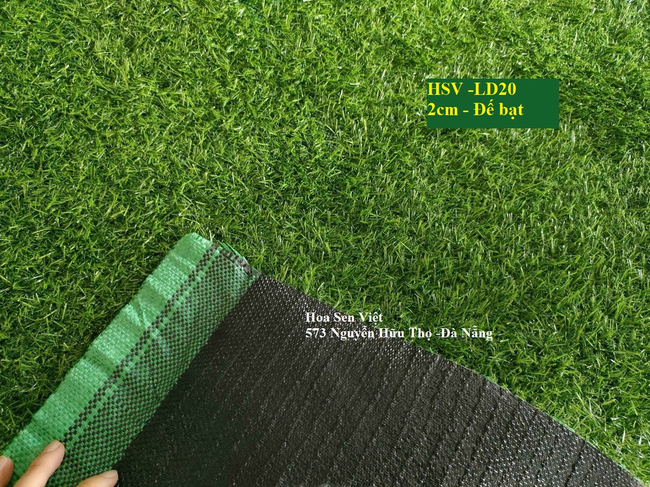 Thảm cỏ 2cm đế bạt nhựa - Cửa hàng cỏ nhân tạo Đà Nẵng -Hoa Sen Việt