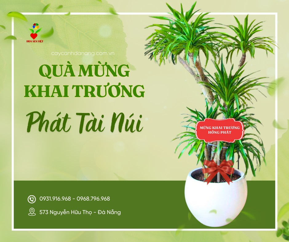 giá cây văn phòng tại Đà Nẵng
