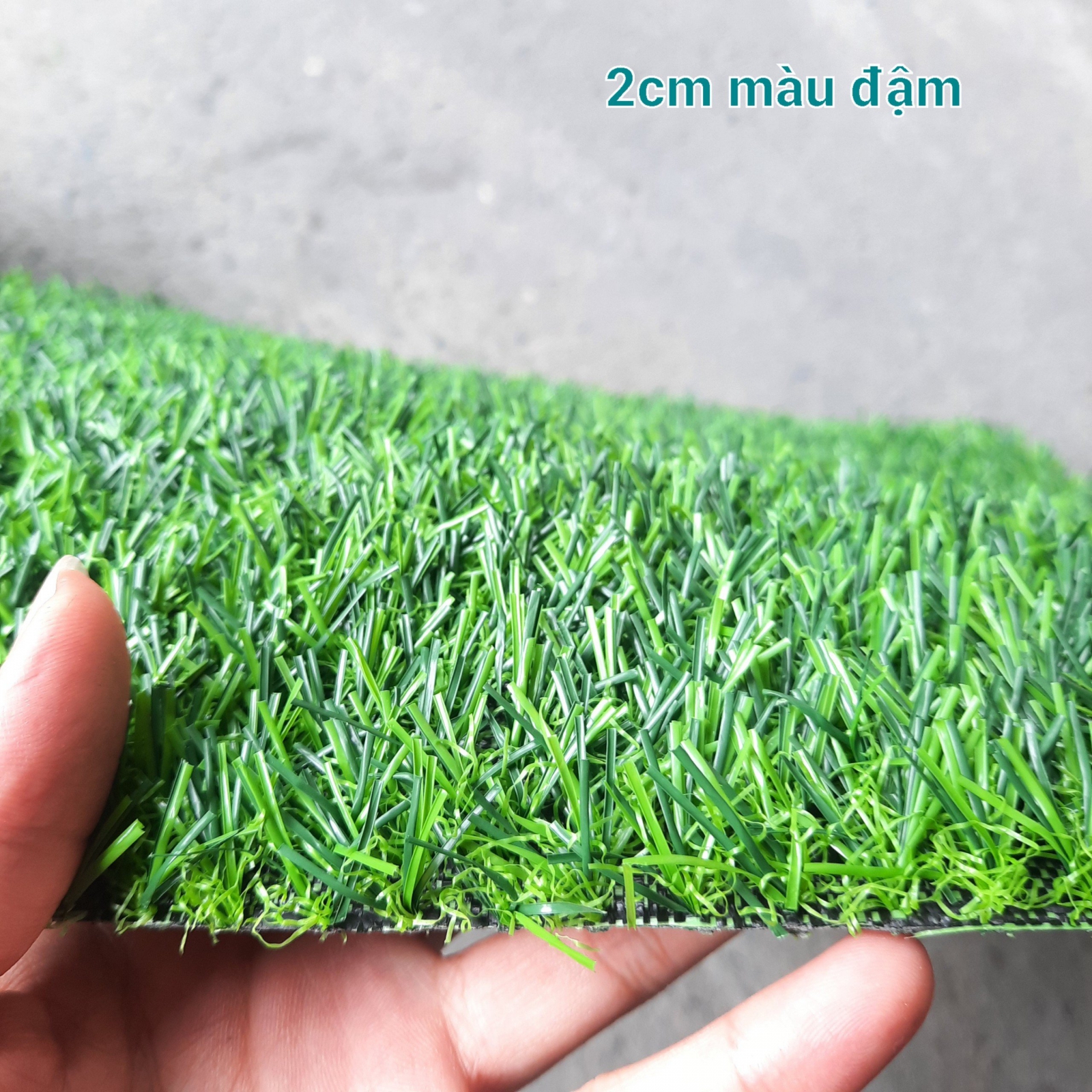 2cm màu đậm cỏ nhân tạo Đà Nẵng