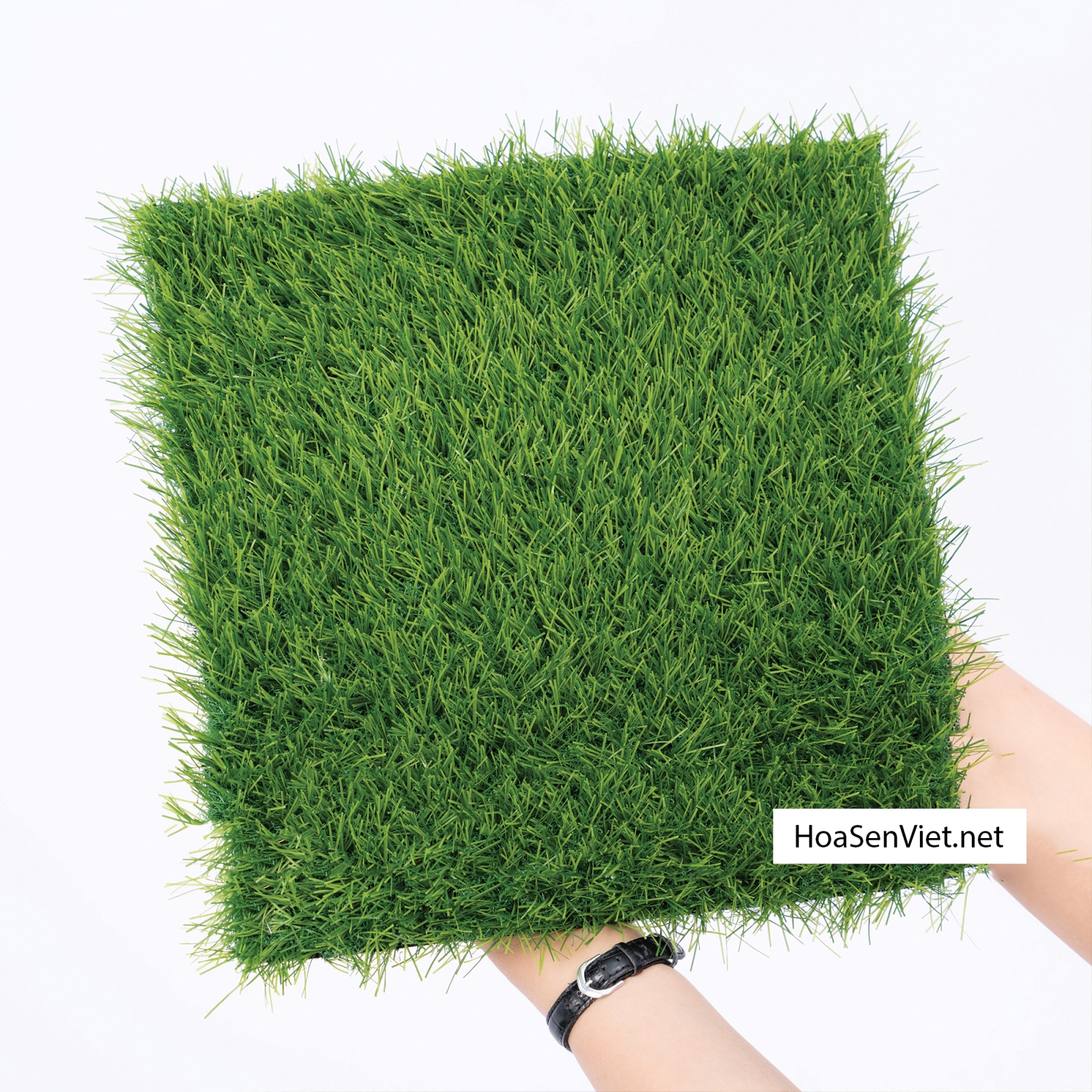Thẩm cỏ sân vườn nhân tạo H20C