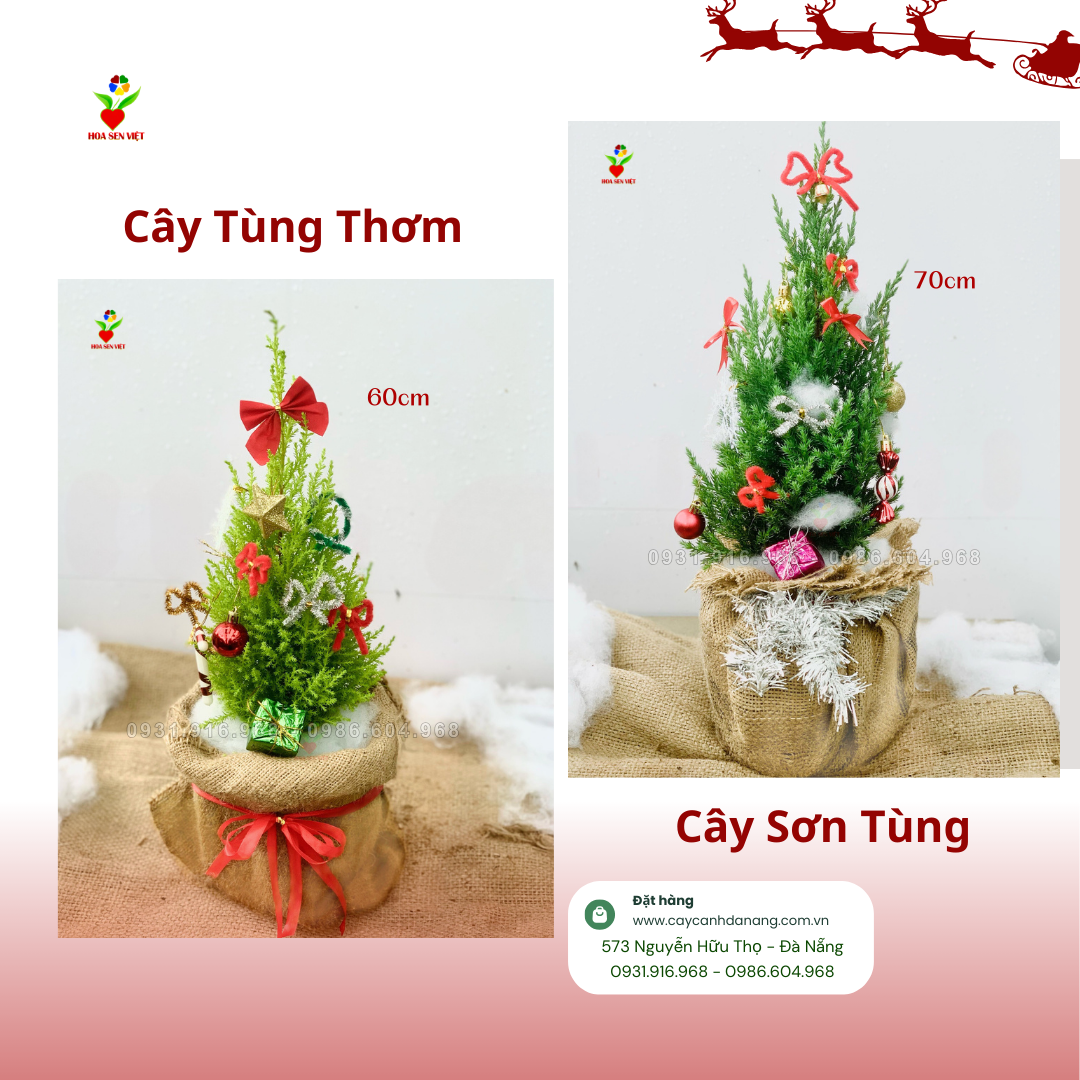Cây thông Noel mini Đà Nẵng
