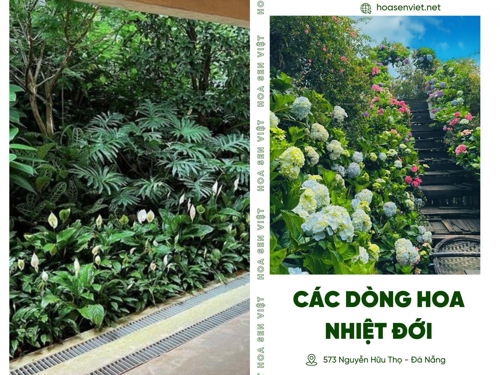 Các loại cây trồng vườn nhiệt đới được ưa chuộng