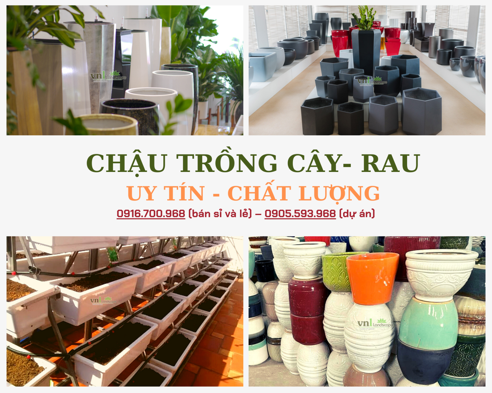 Chậu trồng cây cẩm lệ đà nẵng