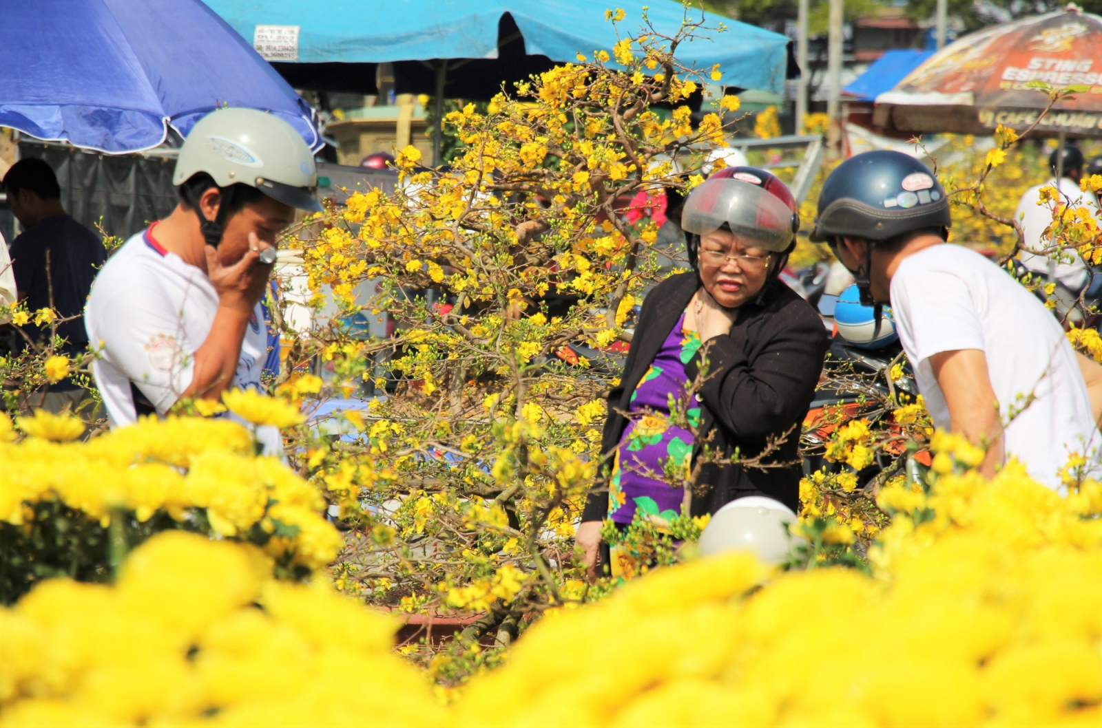 chợ hoa sỉ đà nẵng