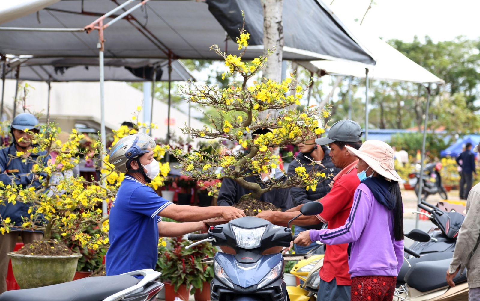 chợ hoa tết đà nẵng