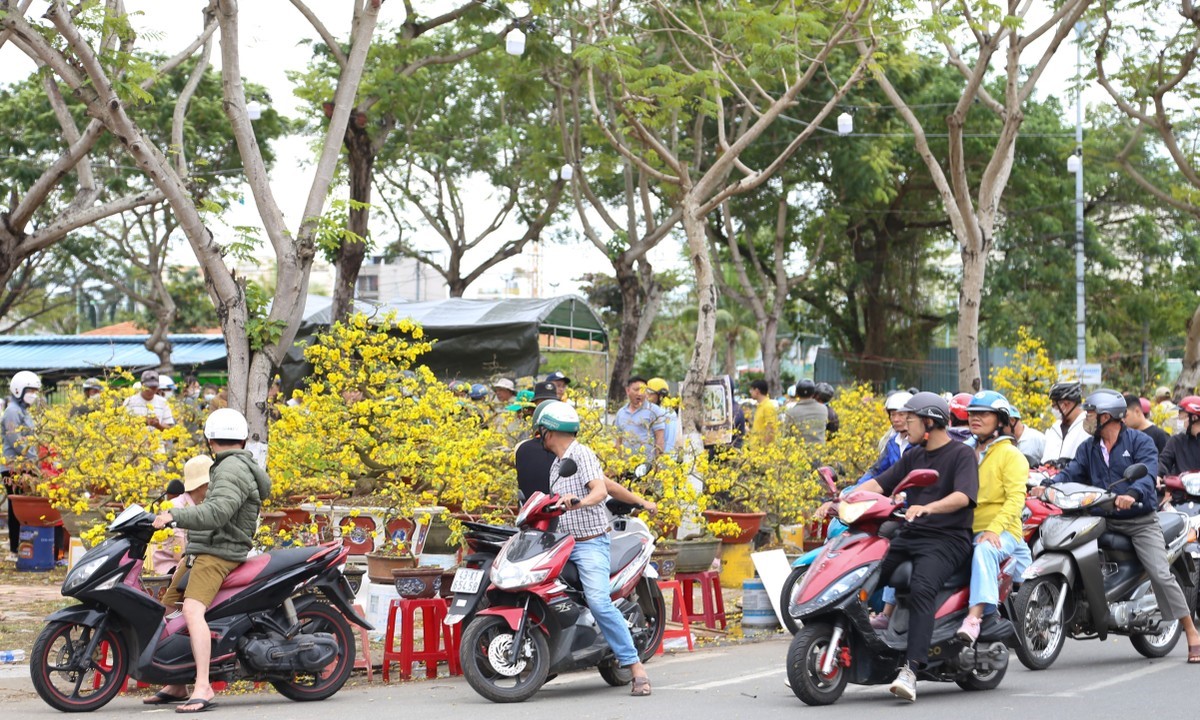 chợ hoa tết đà nẵng