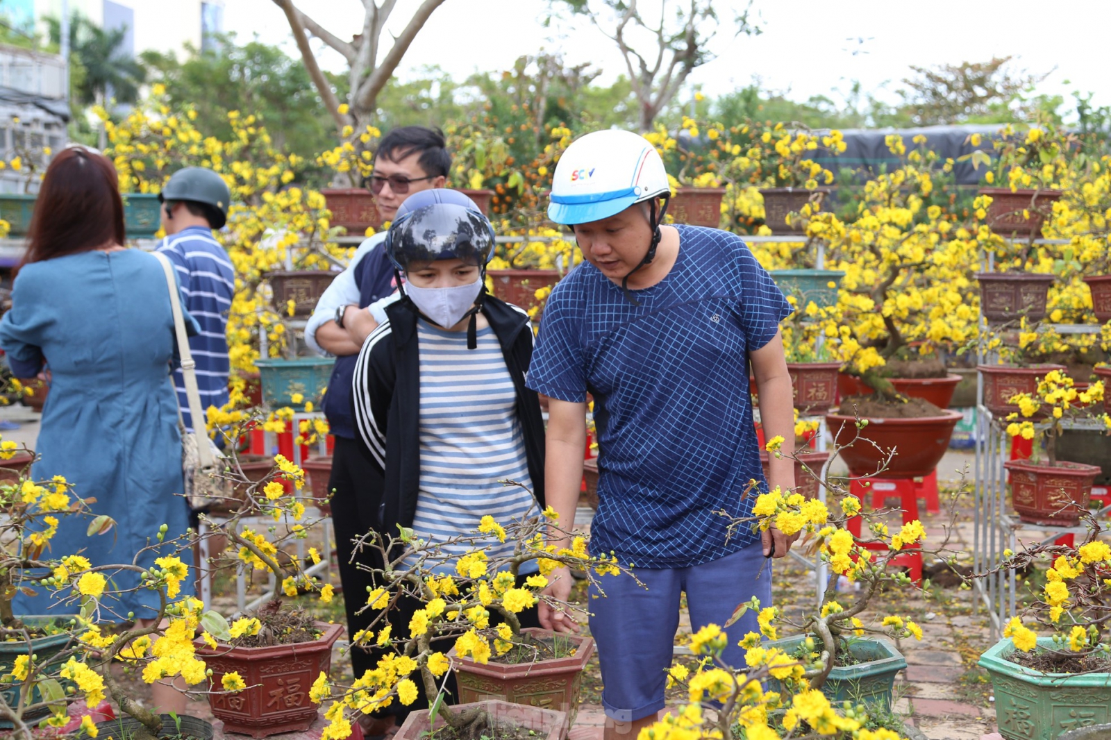 chợ hoa sỉ đà nẵng