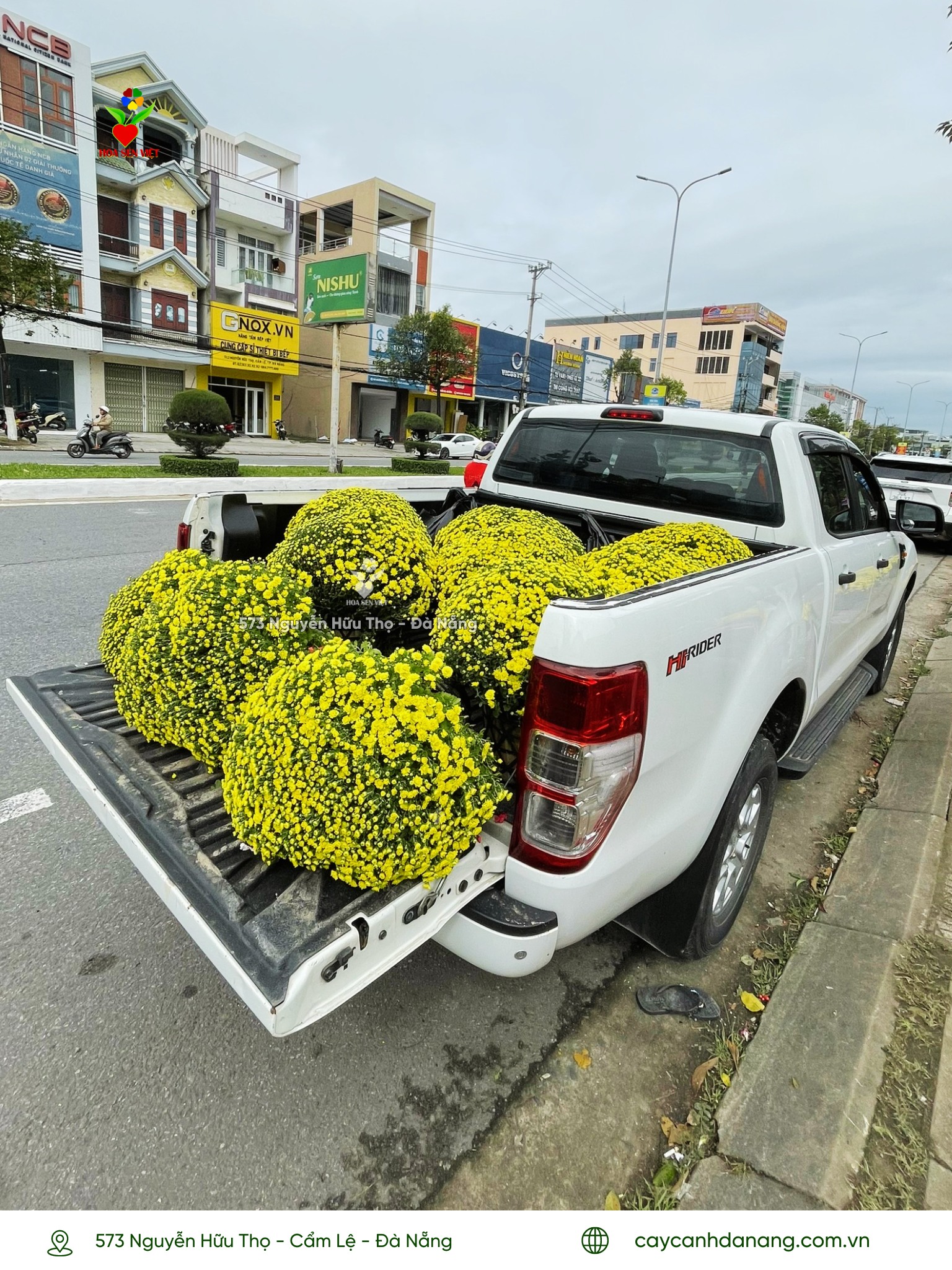 chợ hoa tết đà nẵng