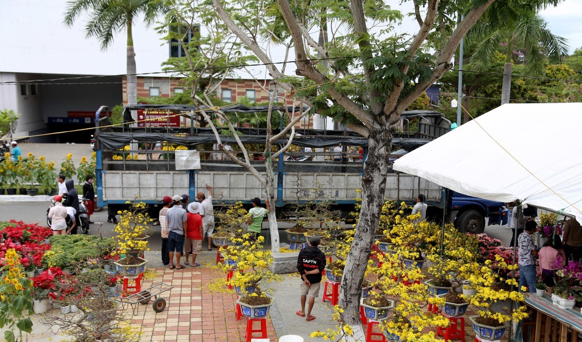 chợ hoa tết đà nẵng