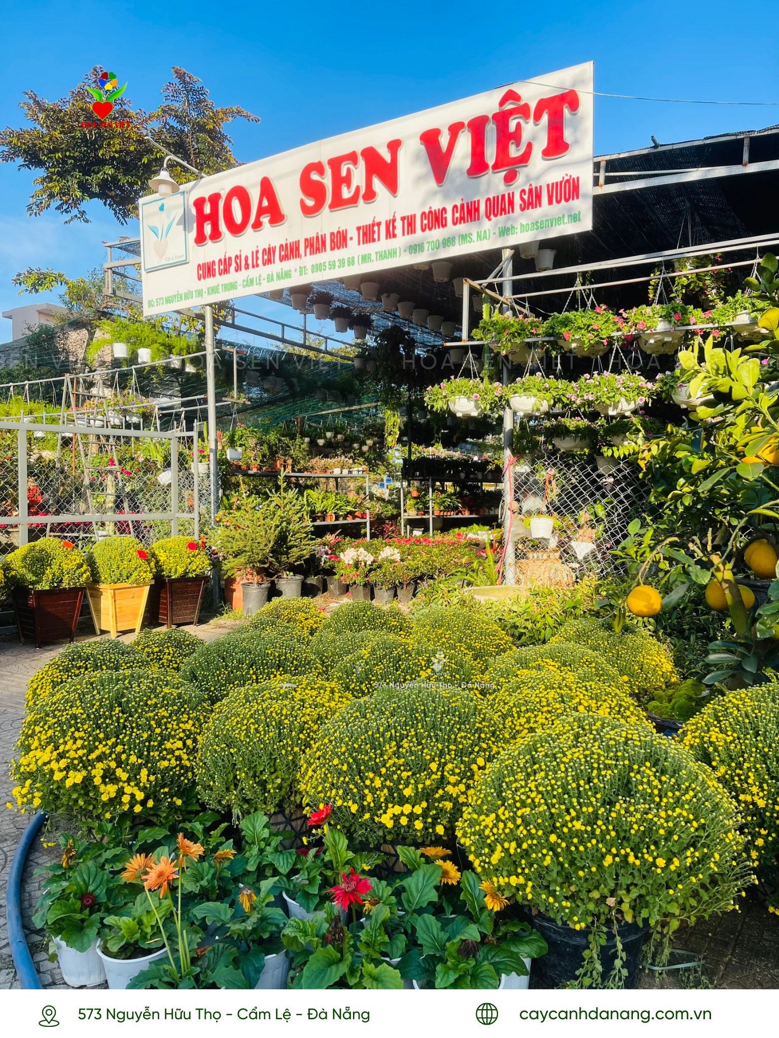 chợ hoa sỉ đà nẵng