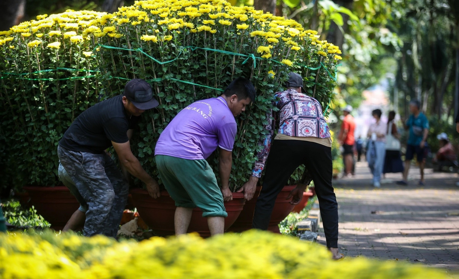 chợ hoa sỉ đà nẵng