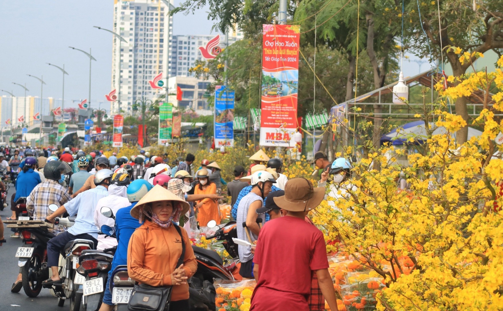 chợ hoa tết đà nẵng