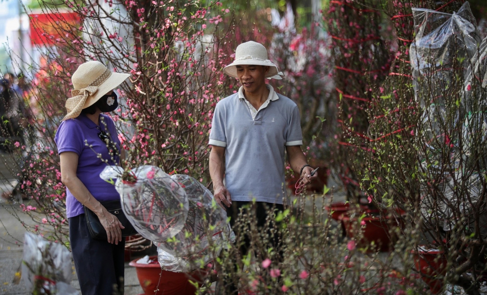 chợ hoa tết đà nẵng