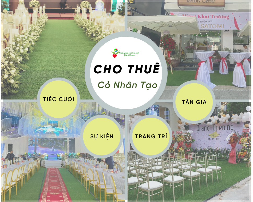 Cho thuê cỏ nhân tạo - Cửa hàng cỏ nhân tạo Đà Nẵng - Hoa Sen Việt