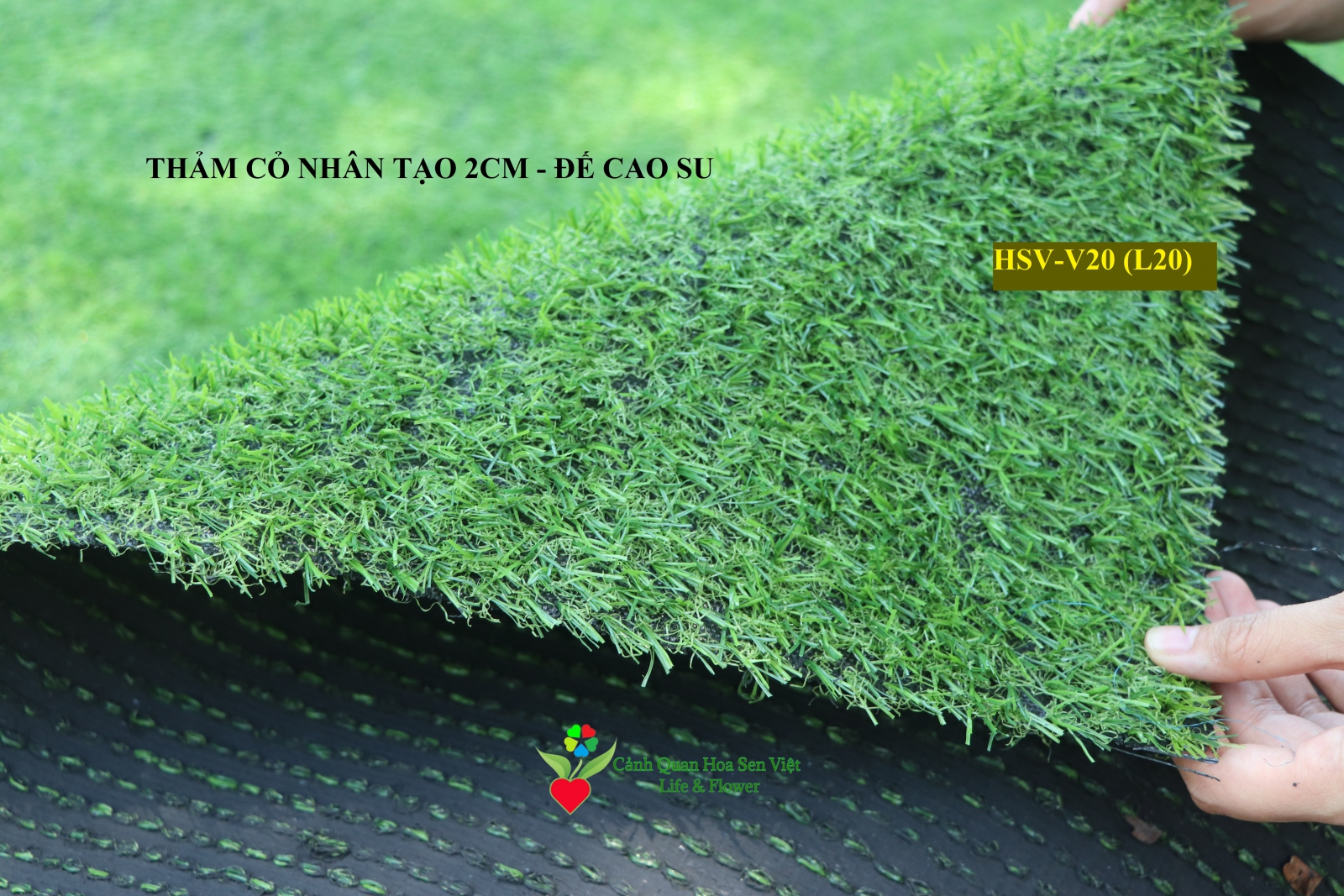 Thảm cỏ nhân tạo 2cm đế cao su - Cửa hàng thảm cỏ nhân tạo giá rẻ