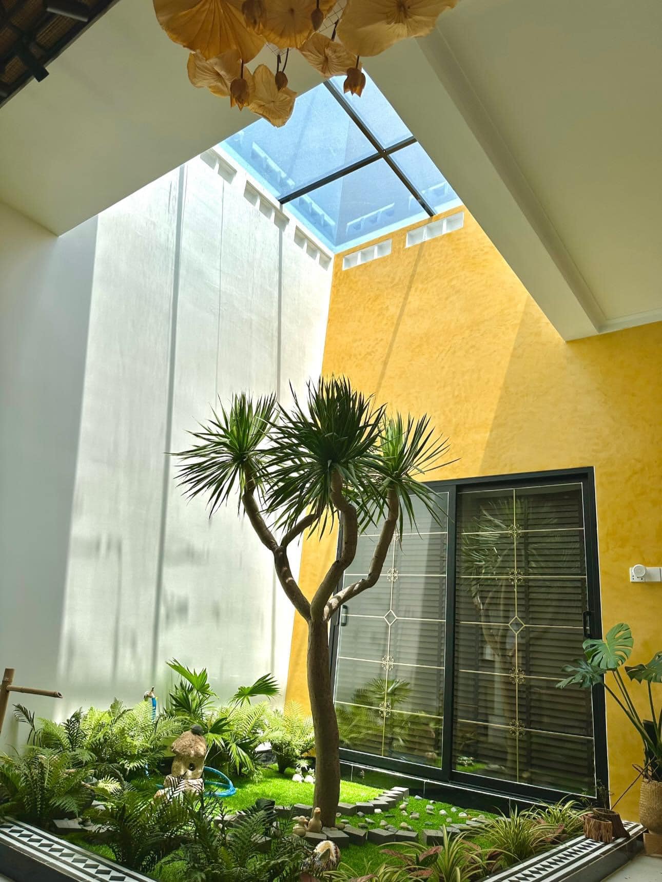 Cỏ nhung nhật trong không gian kiến trúc xanh nội thất nhà Đà Nẵng