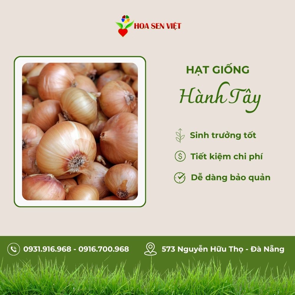 hạt giống rau đà nẵng