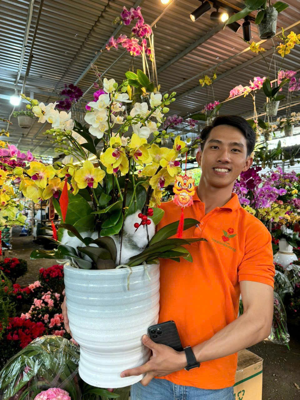 lan hồ điệp đà nẵng