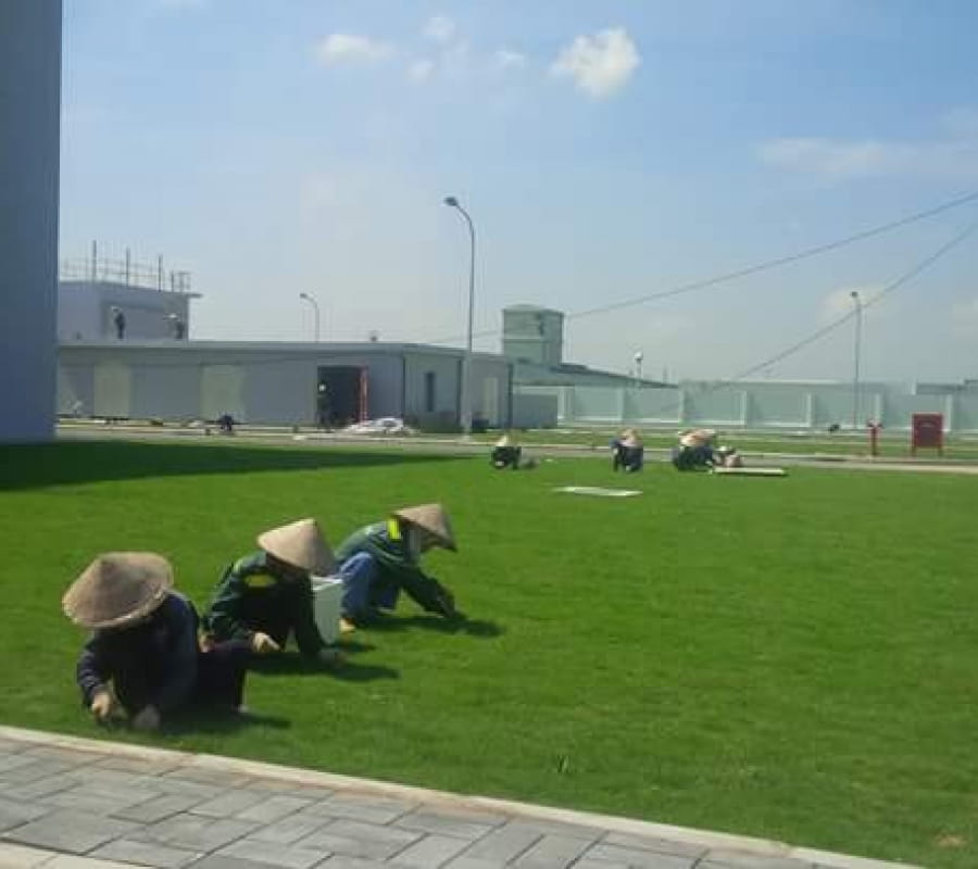 Mua cỏ nhân tạo giá rẻ nhất Đà Nẵng ở đâu