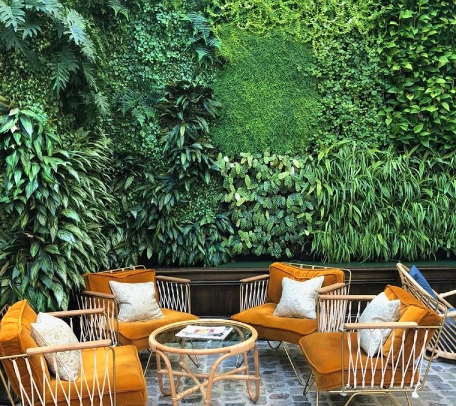 Vườn tường cây xanh đẹp - Thi công vườn tường cây xanh đẹp Đà Nẵng