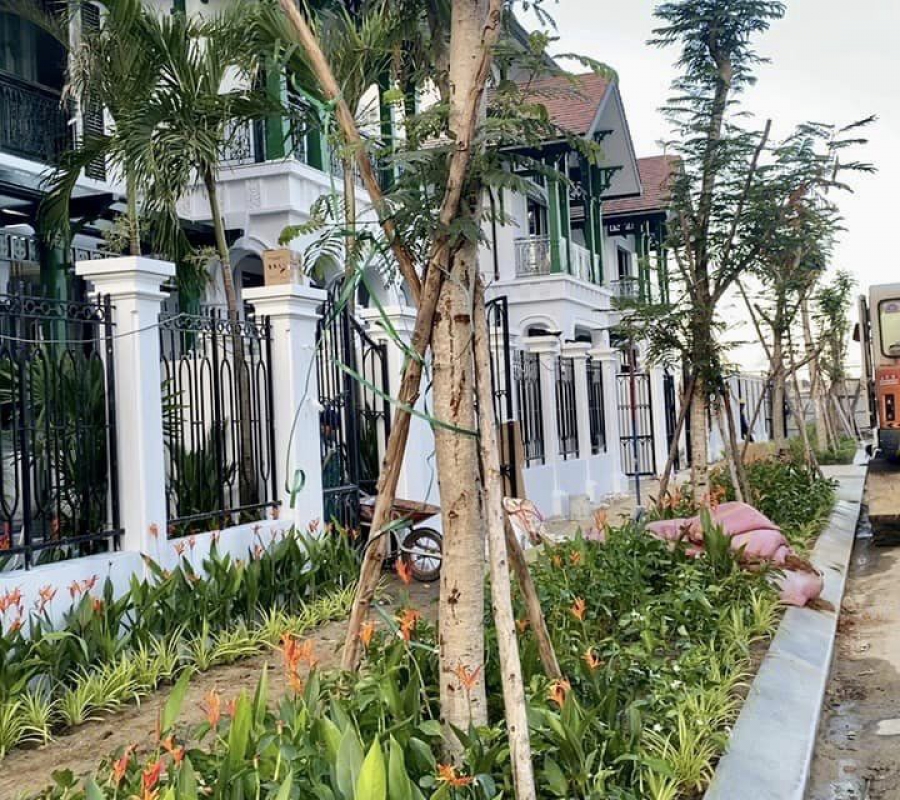 Thi công sân vườn tại quận Liên Chiểu Đà Nẵng