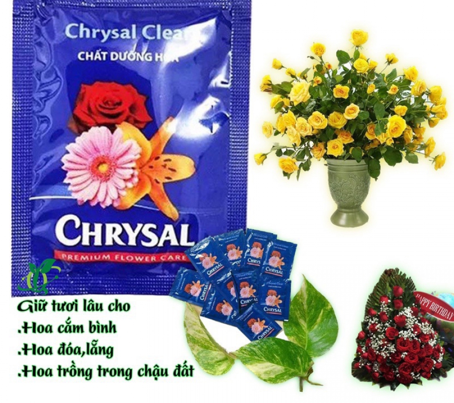 Chất dưỡng hoa lâu tàn Chrysal
