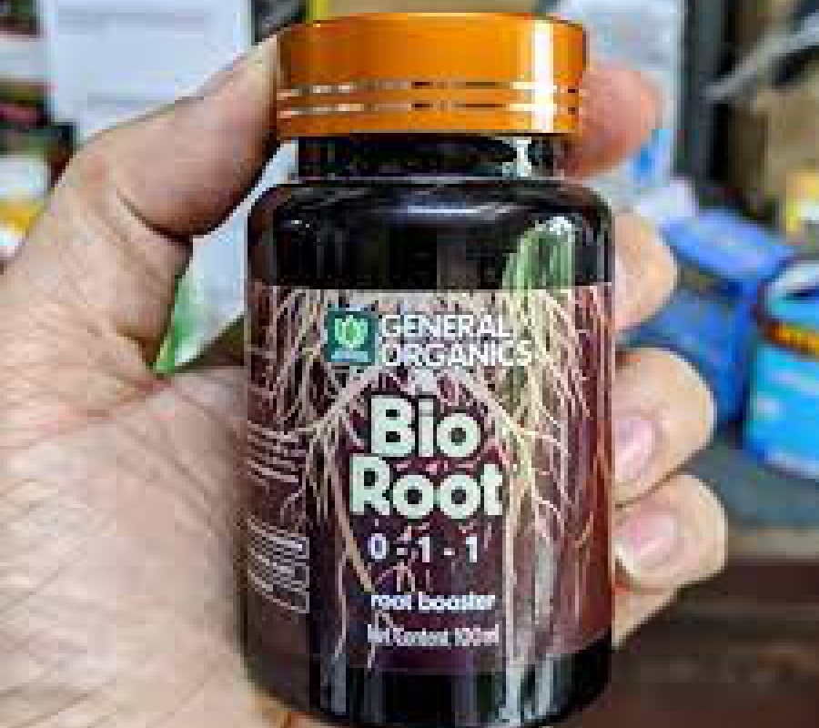 Chất kích thích ra rễ cực mạnh Bio Root - Chai 100ml